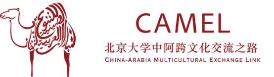 CAMEL标志.jpg