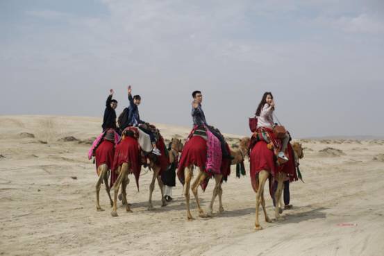 代表们在DESSERT SAFARI中骑骆驼.jpg